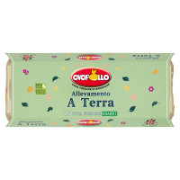 Ovopollo Allevamento a Terra 10 Uova Fresche Grandi