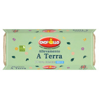 Ovopollo Allevamento a Terra 10 Uova Fresche Medie