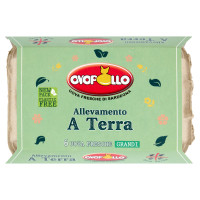 Ovopollo Allevamento a Terra 6 Uova Fresche Grandi