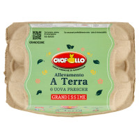 Ovopollo Allevamento a Terra 6 Uova Fresche Grandissime