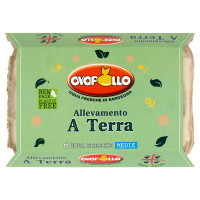 Ovopollo Allevamento a Terra 6 Uova Fresche Medie