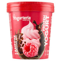 Yogurteria Frozen Yogurt Lampone & Cioccolato 250 g