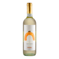 SAUVIGNON UMBRIA IGP