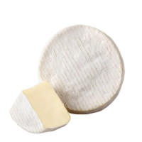 ROBIOLA OCCELLI MINI