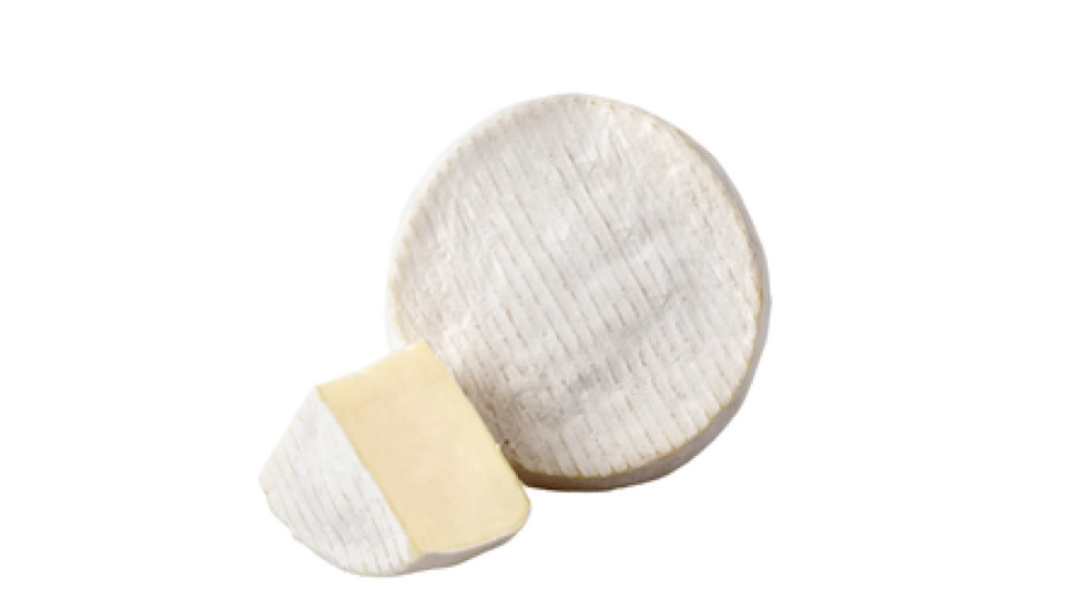 ROBIOLA OCCELLI MINI
