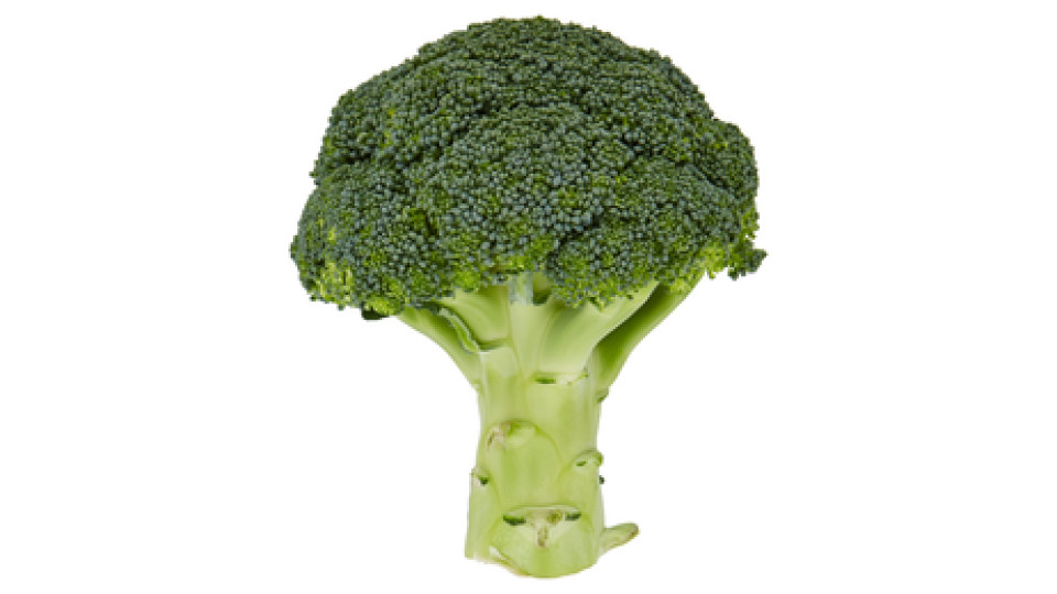 Broccoli