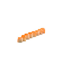 Roll salmone 8 pezzi