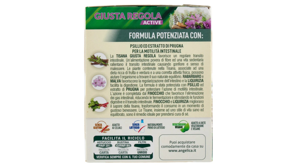 L'Angelica, Le Tisane Giusta Regola 20 filtri