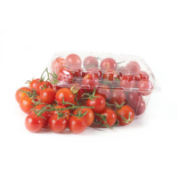 POMODORO CILIEGINO 