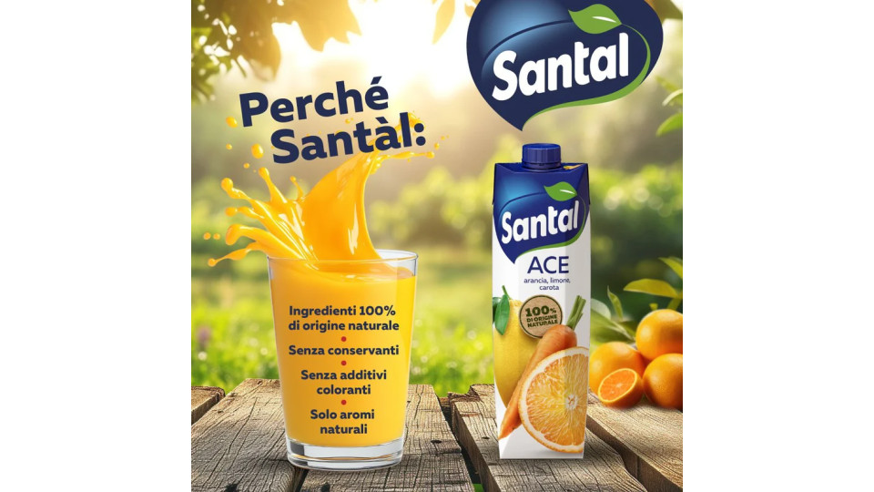 Santal - Succo di Frutta, 100% Pompelmo