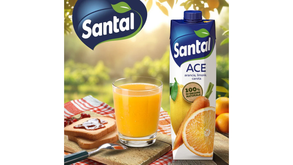 Santal - Succo di Frutta, 100% Pompelmo