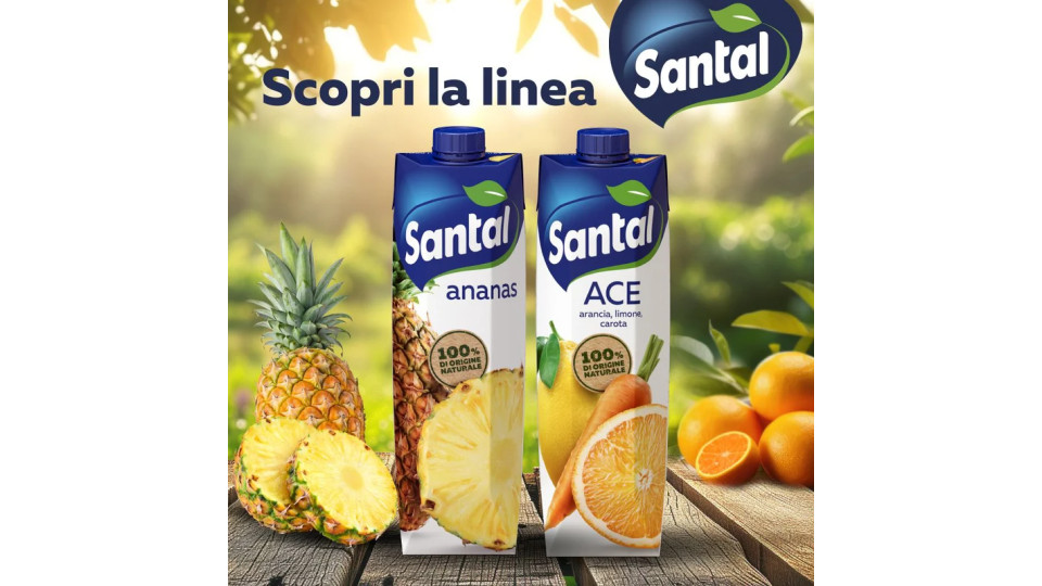 Santal - Succo di Frutta, 100% Pompelmo