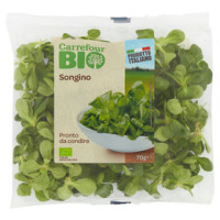 Carrefour Bio Songino