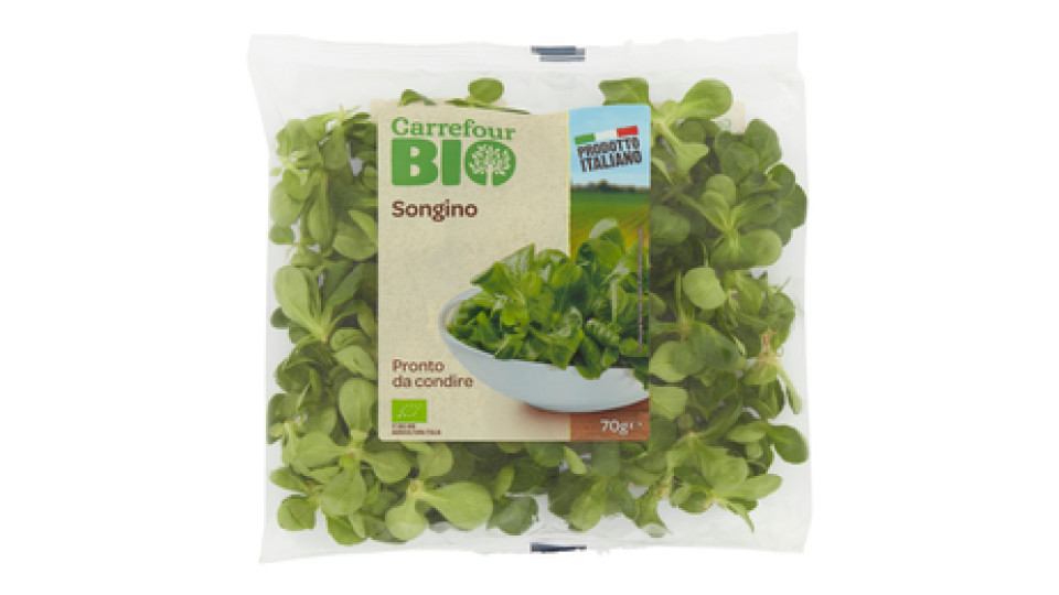 Carrefour Bio Songino