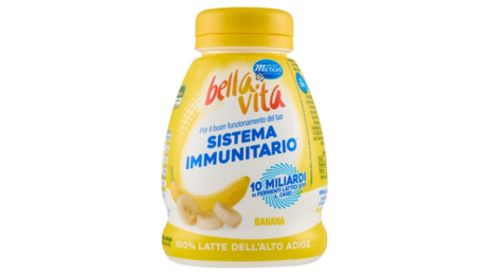 Bella Vita Banana