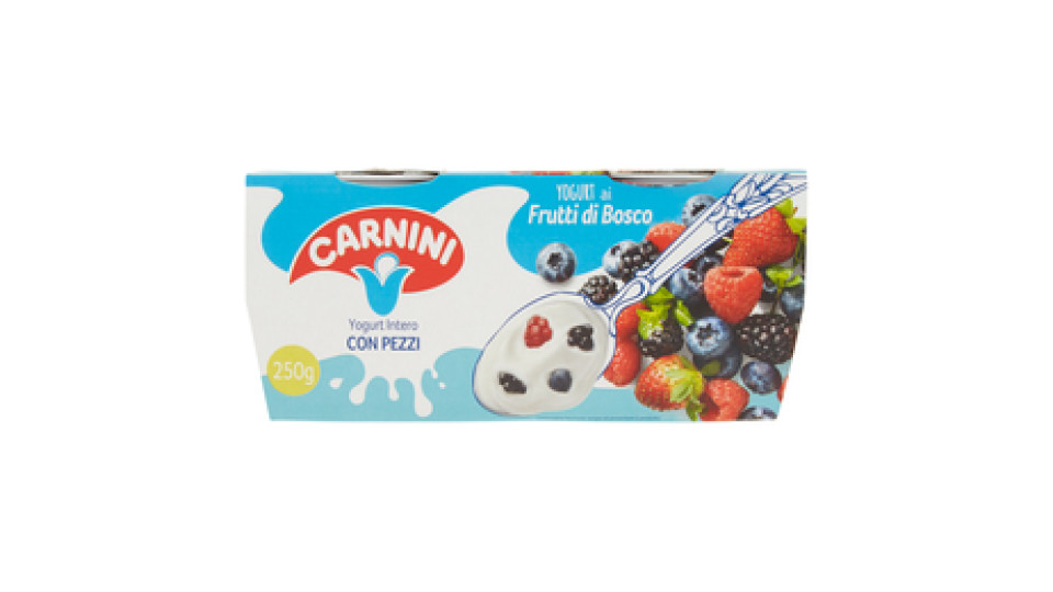 Carnini Yogurt Intero con Pezzi al Cocco