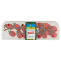 Pomodoro Datterino a 