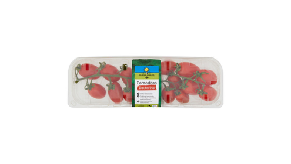 Pomodoro Datterino a 