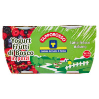Centrale del Latte di Roma Zero Grassi Frutti di Bosco Yogurt magro con frutta in pezzi