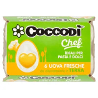 Uova da Allevamento a Terra