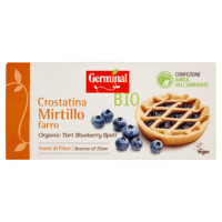 Bio Crostatina Mirtillo Farro