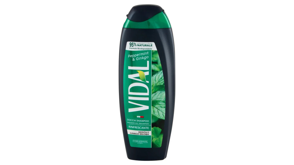 Vidal Peppermint & Ginkgo 3 in 1 for men