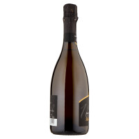 Baccichetto Vittorino Ribolla Gialla Extra Dry 75 cl