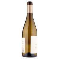 Baccichetto Vittorino Ribolla Gialla Venezia Giulia IGT 75 cl