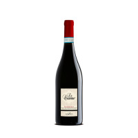 Barbera