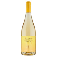 Gotto d'oro Marino DOC Superiore