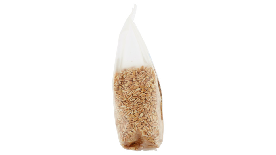 Farro 