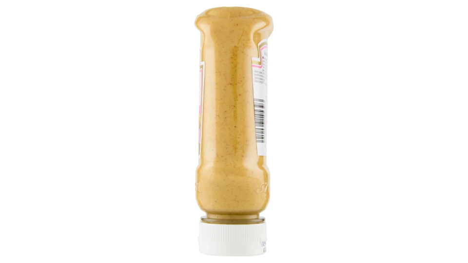 Heinz Salsa Curry Mango