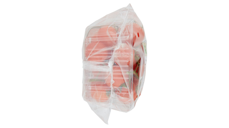 POMODORO CILIEGINO BIO 