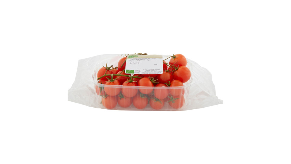 POMODORO CILIEGINO BIO 