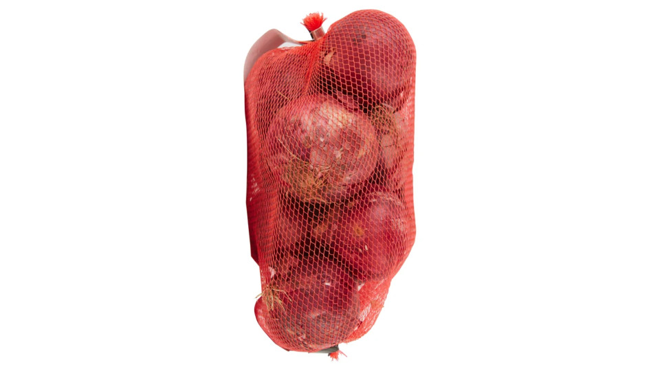 Cipolla Salsiera Rossa 