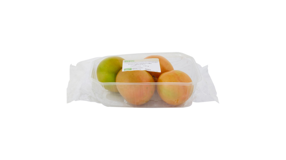 POMODORI INSALATARO BIO 