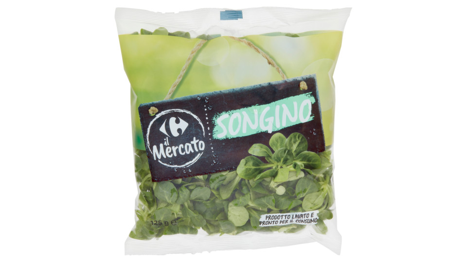 Songino