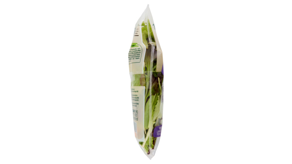 Bonduelle Carta delle Insalate Ricetta Capricciosa