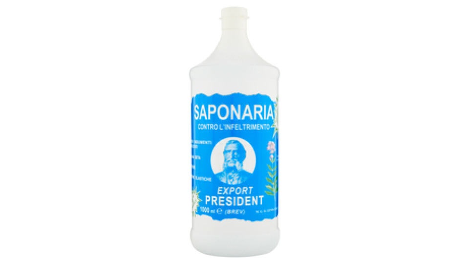 Saponaria