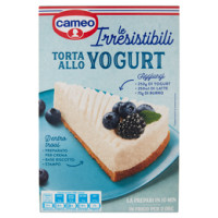 cameo torta allo yogurt