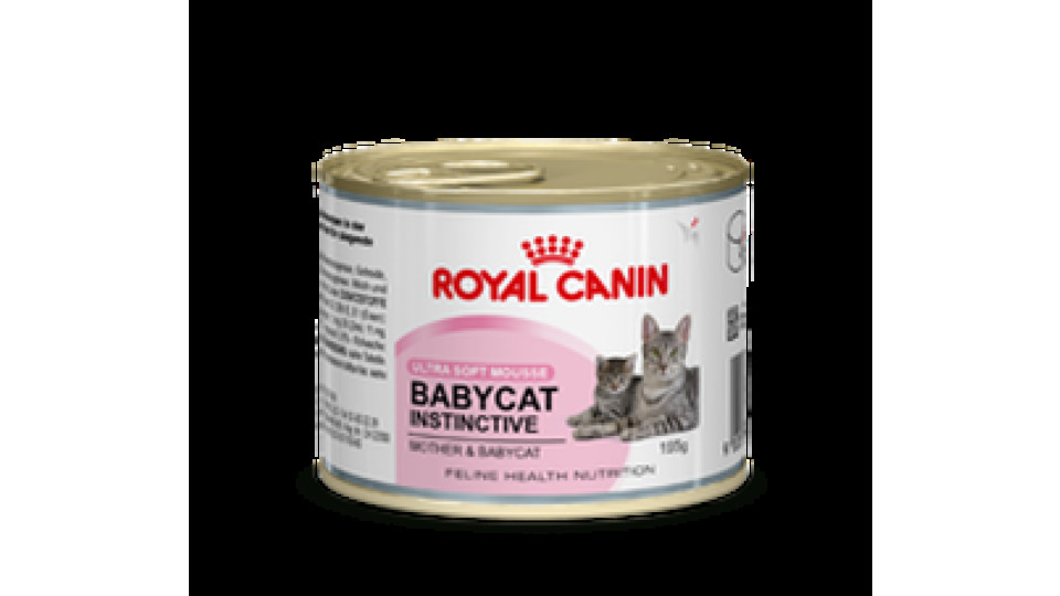 ALIMENTO BABYCAT INSTINCTIVE