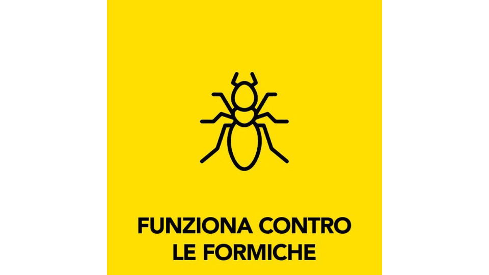 Raid Esca Formiche