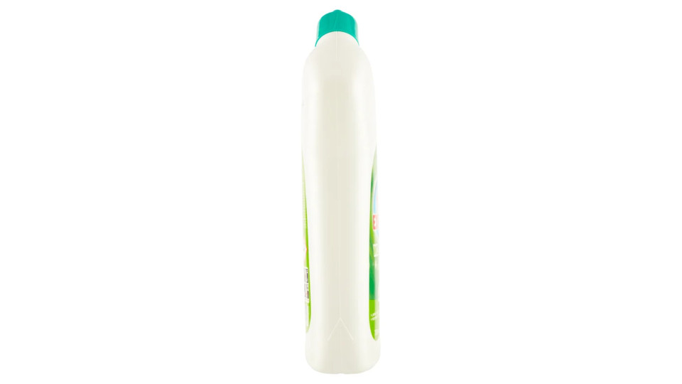 Carrefour Gel WC con Candeggina Pino-Eucalipto