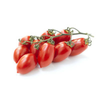 Pomodoro Piccadilly