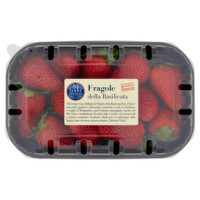 Fragole della Sila