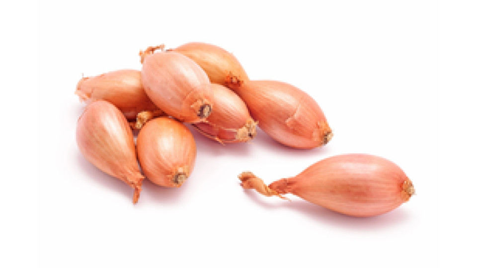 Scalogno Italia