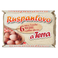 Antiga 6 Uova Fresche da Galline Allevate a Terra