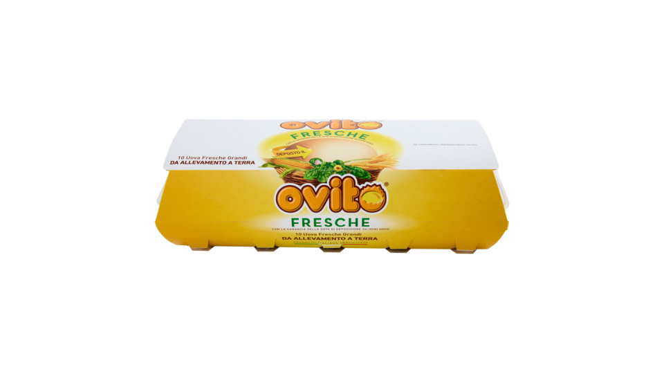 Uova Fresche Grandi Categoria a da Allevamento a Terra