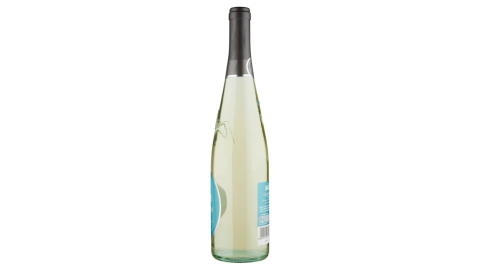 Cantine Maschio Chardonnay Veneto IGT Vino Frizzante