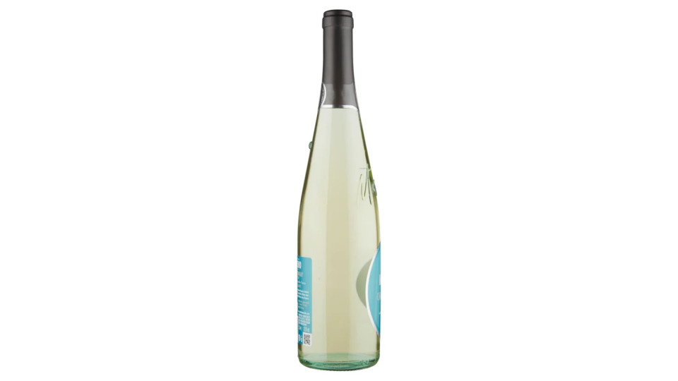 Cantine Maschio Chardonnay Veneto IGT Vino Frizzante